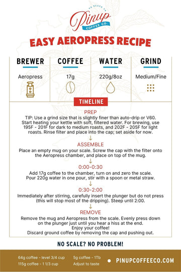 Easy Aeropress Recipe - Pinup Coffee Co