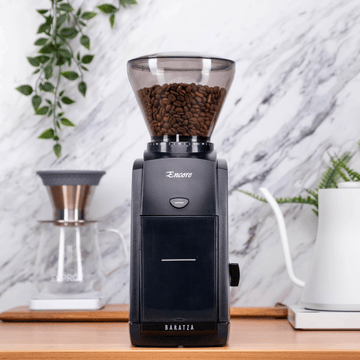 Baratza Encore Home Coffee Grinder situated on a counter beside a houseplant